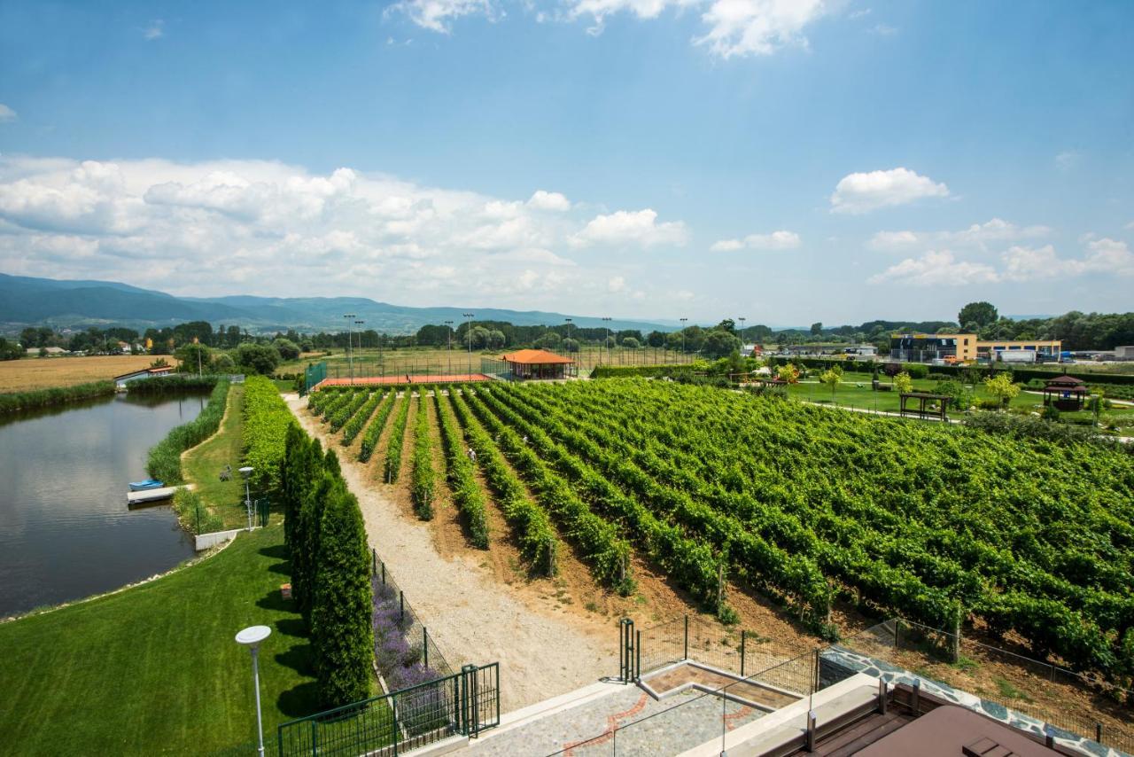 Uva Nestum Wine & Spa Goce Delčev Exteriér fotografie