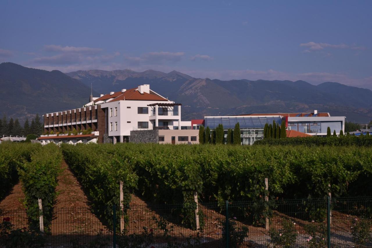 Uva Nestum Wine & Spa Goce Delčev Exteriér fotografie